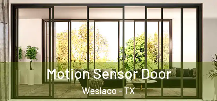 Motion Sensor Door Weslaco - TX